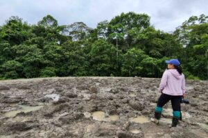 Borneo Tabin Wildlife Reserve-2 | Kenzan Travel Borneo Tabin Wildlife , lervulkan