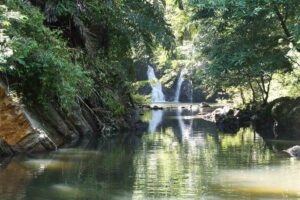 Borneo Tabin Wildlife Reserve | Kenzan Travel Borneo Tabin Wildlife, Lipad vattenfallet