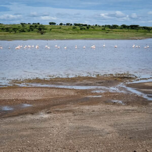 resa Tanzania safari Zanzibar, cykel Mto wa Mbu