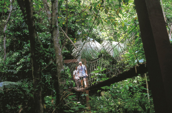 Malaysia Taman Negara Malay. Foto: Adventures | Kenzan Travel Resa till Malaysia Taman Negara