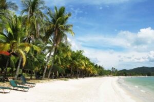 Malaysia storstad och paradisstrand Langkawi-3 | Kenzan Travel Sunlit white-sand beach lined with tall palm trees and turquoise water in a tropical resort setting.
