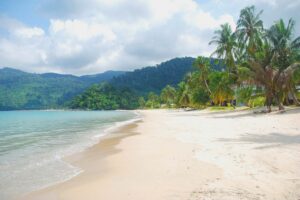 Malaysia storstad och paradisstrand Tioman-4 | Kenzan Travel Tropical beach with palm trees, turquoise water, and forested hills in the distance under a blue, partly cloudy sky.