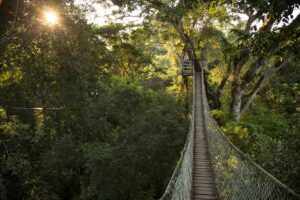 Peru resa, Amazonas äventyr, canopy walk