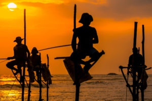 Upptäck Sri Lanka, 11 dagar