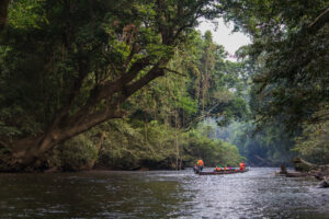 Malaysia Taman Negara