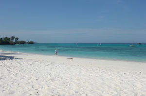 Resa till Tanzania Pemba Island strand