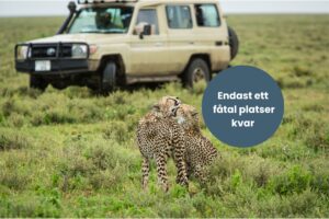Gruppresa Tanzania, endast ett fåtal platser kvar