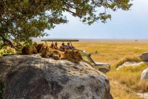 Gruppresa till Tanzania 2027; Kenzan Travel, svensk färdledare