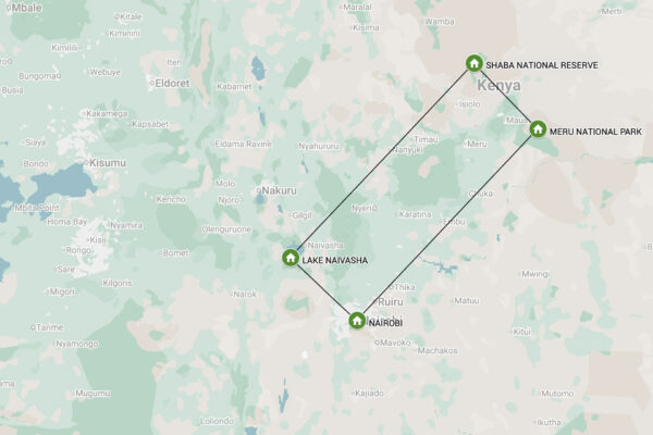 Kenya safari,Elsa the Lioness safari, resrutt via karta | Kenzan Travel Kenya safari, Elsa the Lioness safari, resrutt via karta