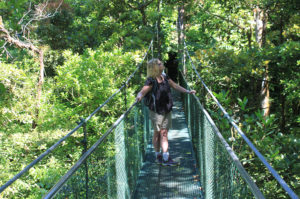 Resa till Costa Rica Monteverde regnskog hängbro