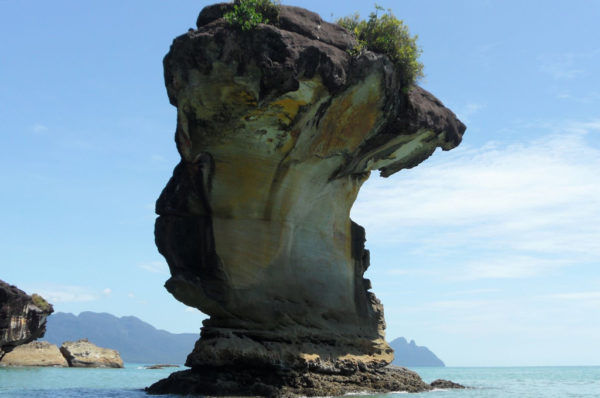 Resa till Malaysia Borneo Bako nationalpark