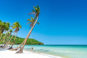 Vietnam, Phu, Quoc, härlig strandbild med palm över hav