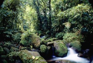 Fantastiska Costa Rica, 14 dagar
