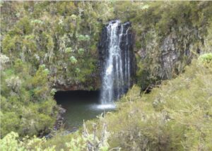 Kenya, Aberdares, vattenfall
