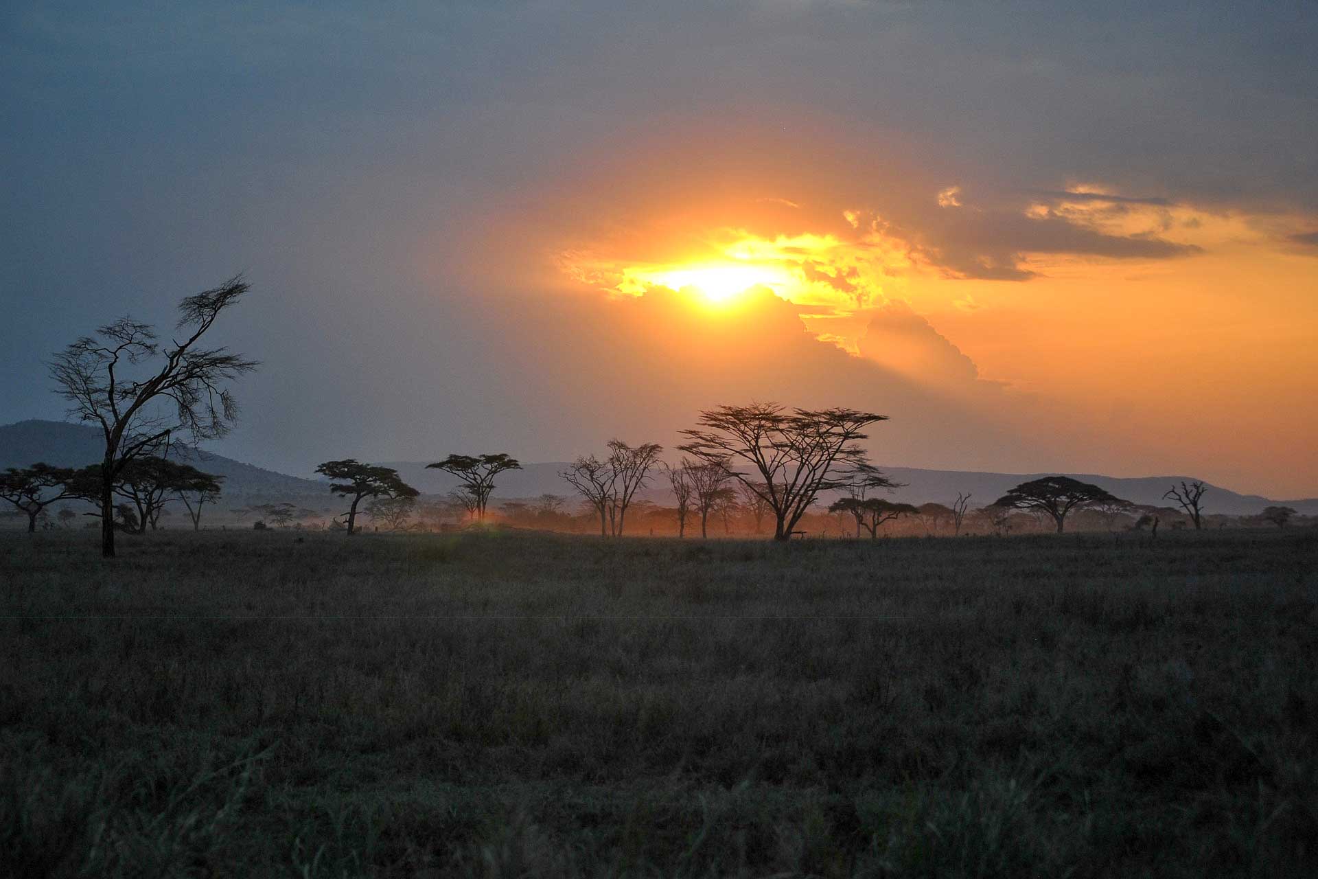 resa till Tanzania-4 Tanzania resa väder