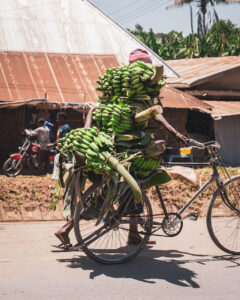 Mto wa Mbu, Tanzania 2022-6 | Kenzan Travel
