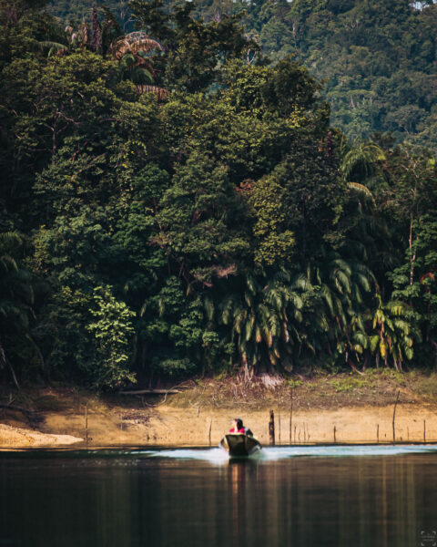 Borneo, Sarawak, Batang Ai, Nanga Sumpa