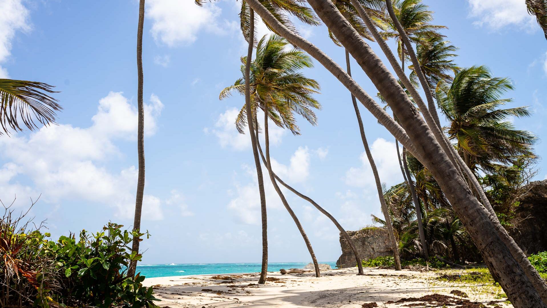 Barbados