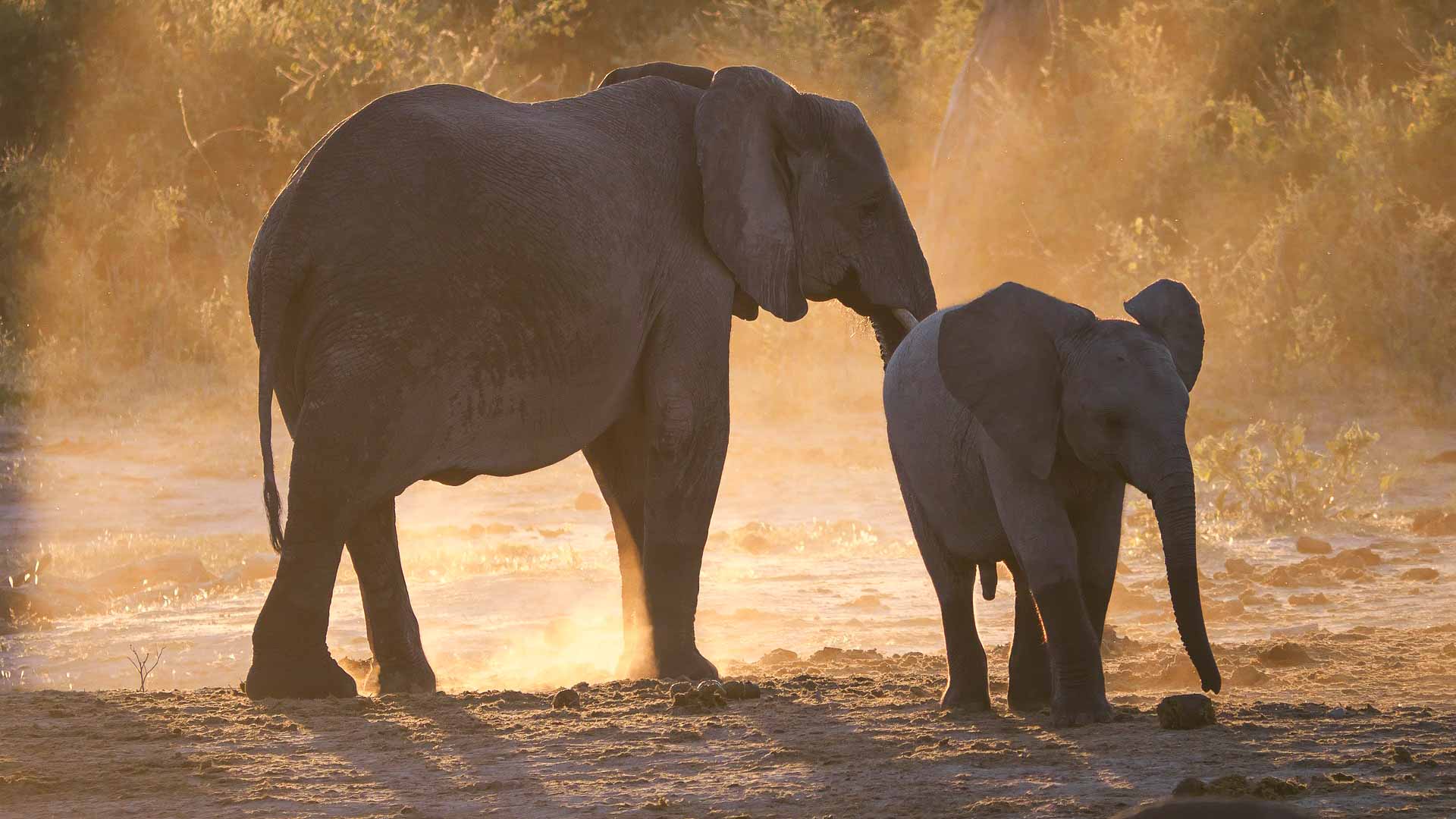 Botswana
