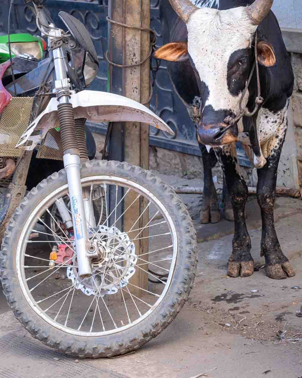 Madagaskar, Nosy Be, Hell-Ville, gatuliv