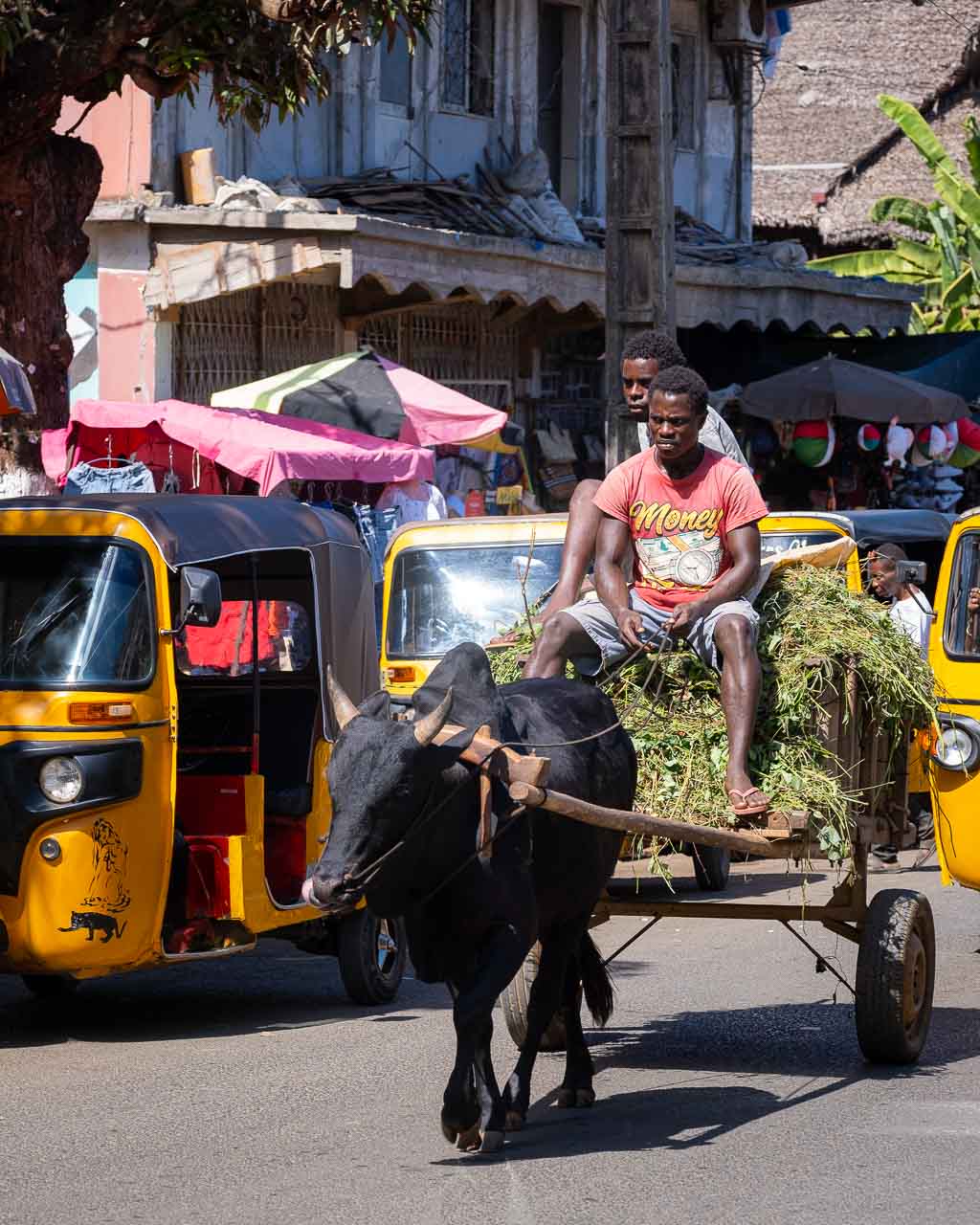 Madagaskar, Nosy Be, Hell-Ville, gatuliv