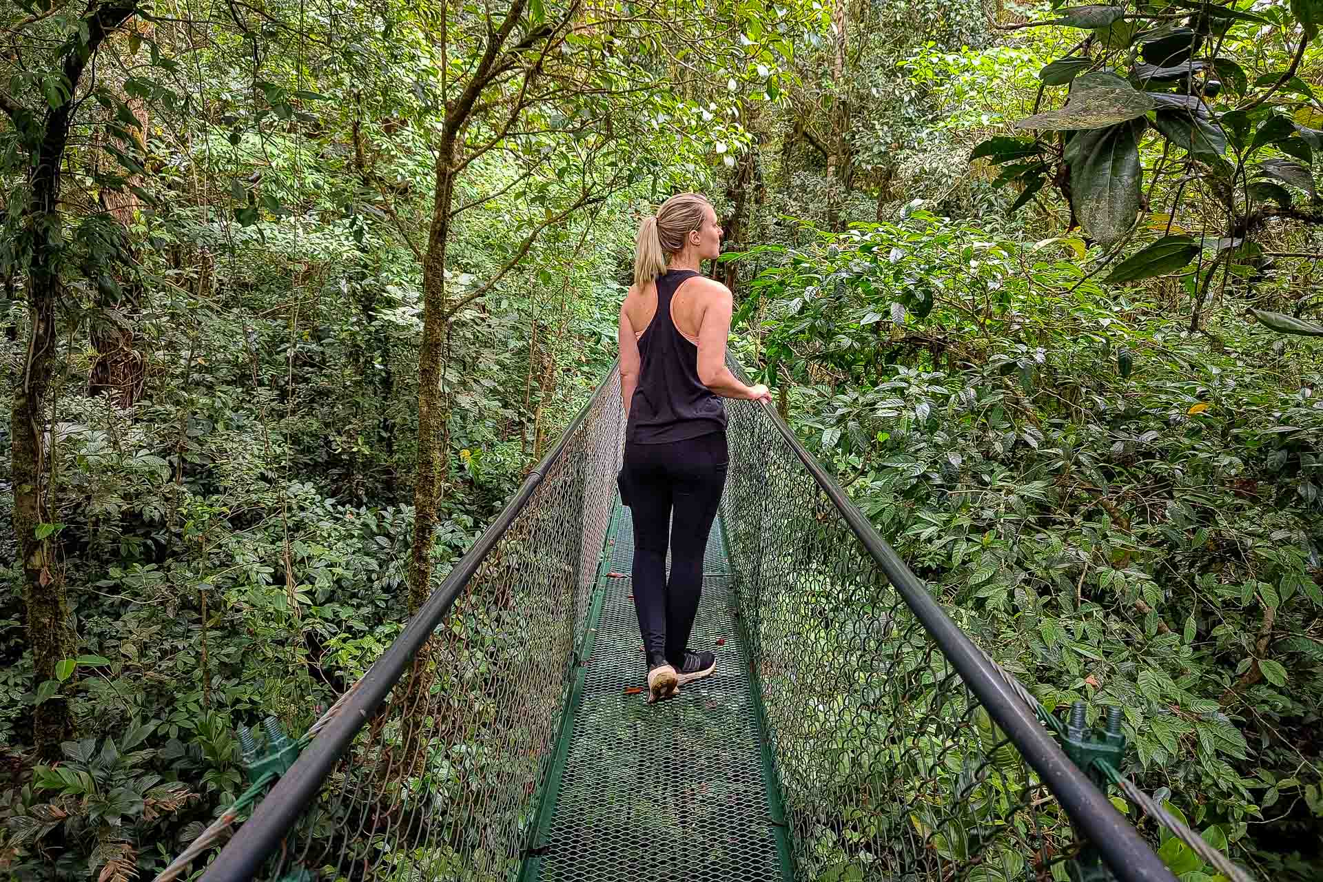 Costa Ricas nationalparker Monteverde Cloud Forest, Kajsa på promenad bland trätopparna