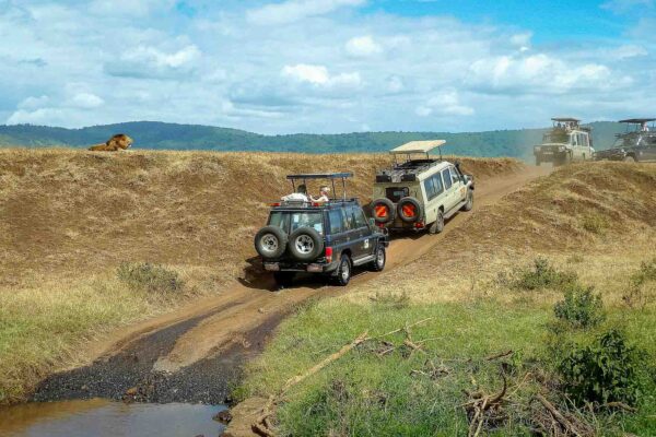 Tanzania safari, Ngorongoro kratern