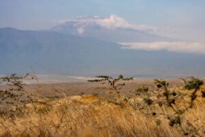 Tanzania, Osiligi-Lai Masai Lodge, unikt boende med utsikt över Kilimanjaro