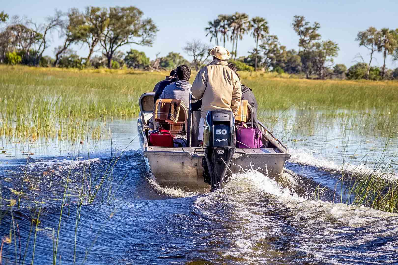 Därför ska du åka på safari i Botswana. En safariresa du sent kommer glömma!