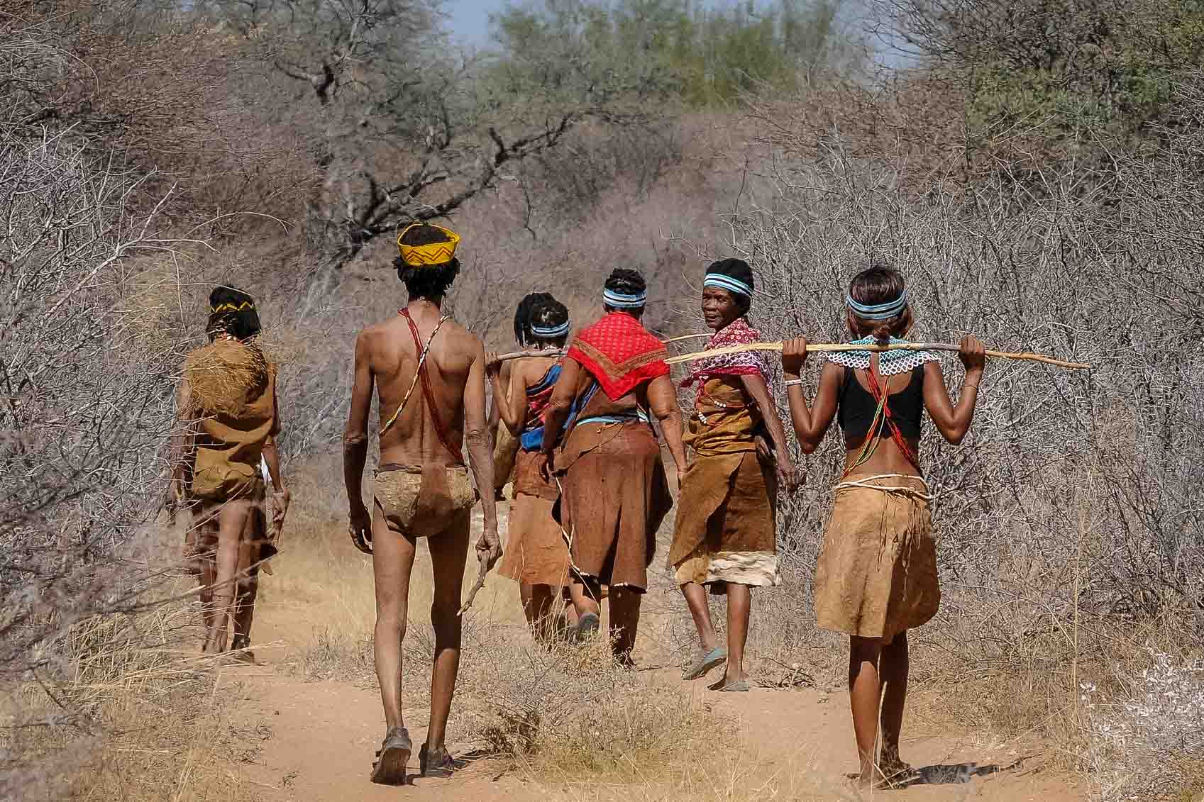 Därför ska du åka på safari i Botswana