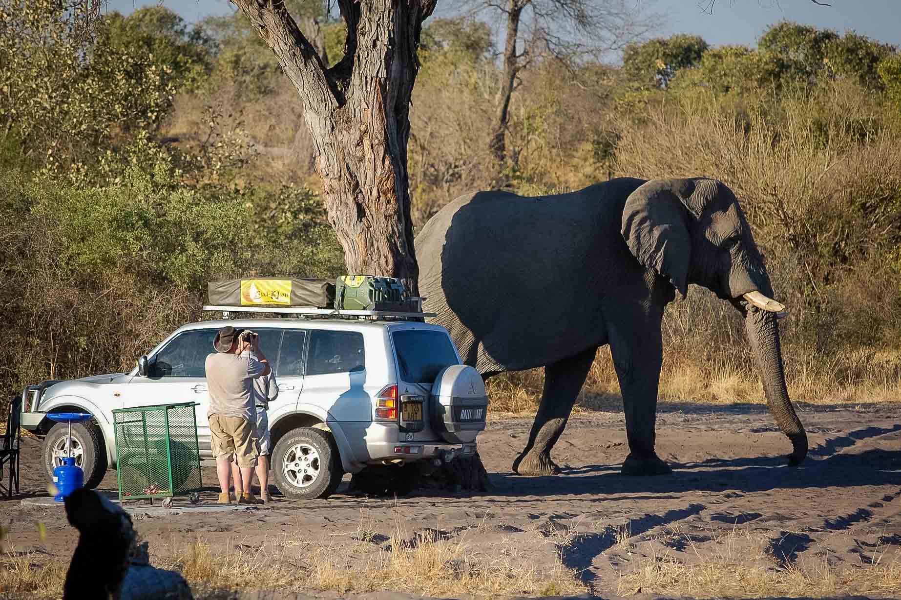 Safari i Namibia. En safariresa du sent kommer glömma!