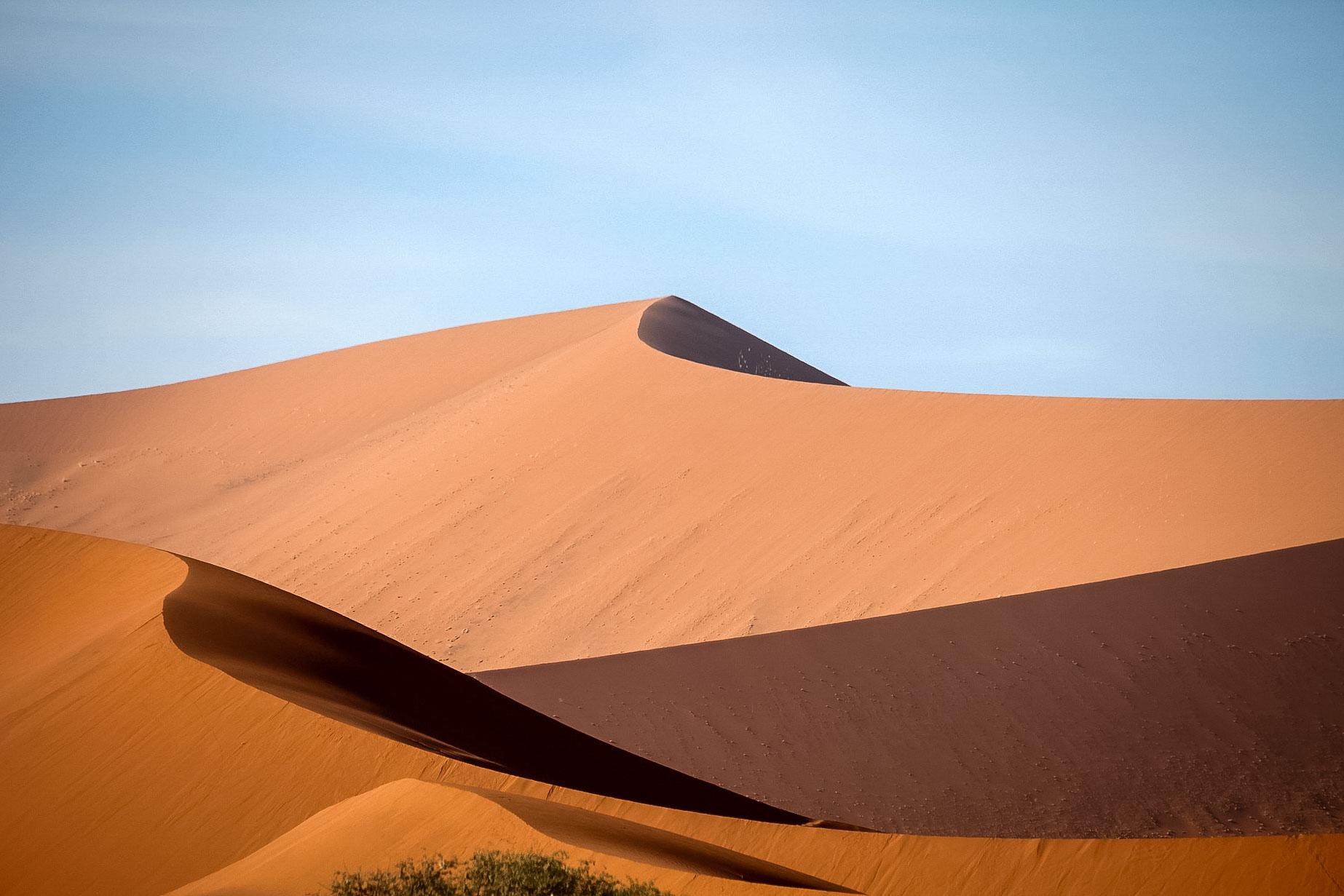 Safari i Namibia. En safariresa du sent kommer glömma!