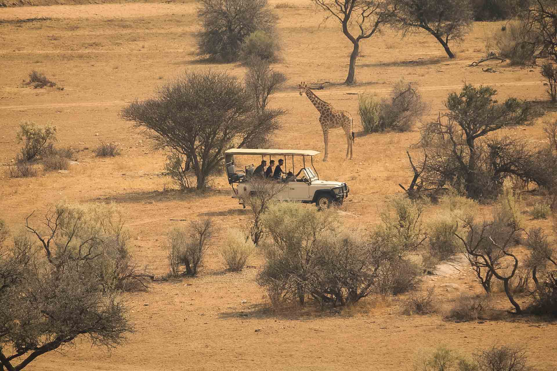 Sydafrika safari, Safariresor Afrika