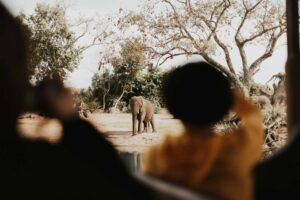 Safariresa till Tanzania med yngre barn