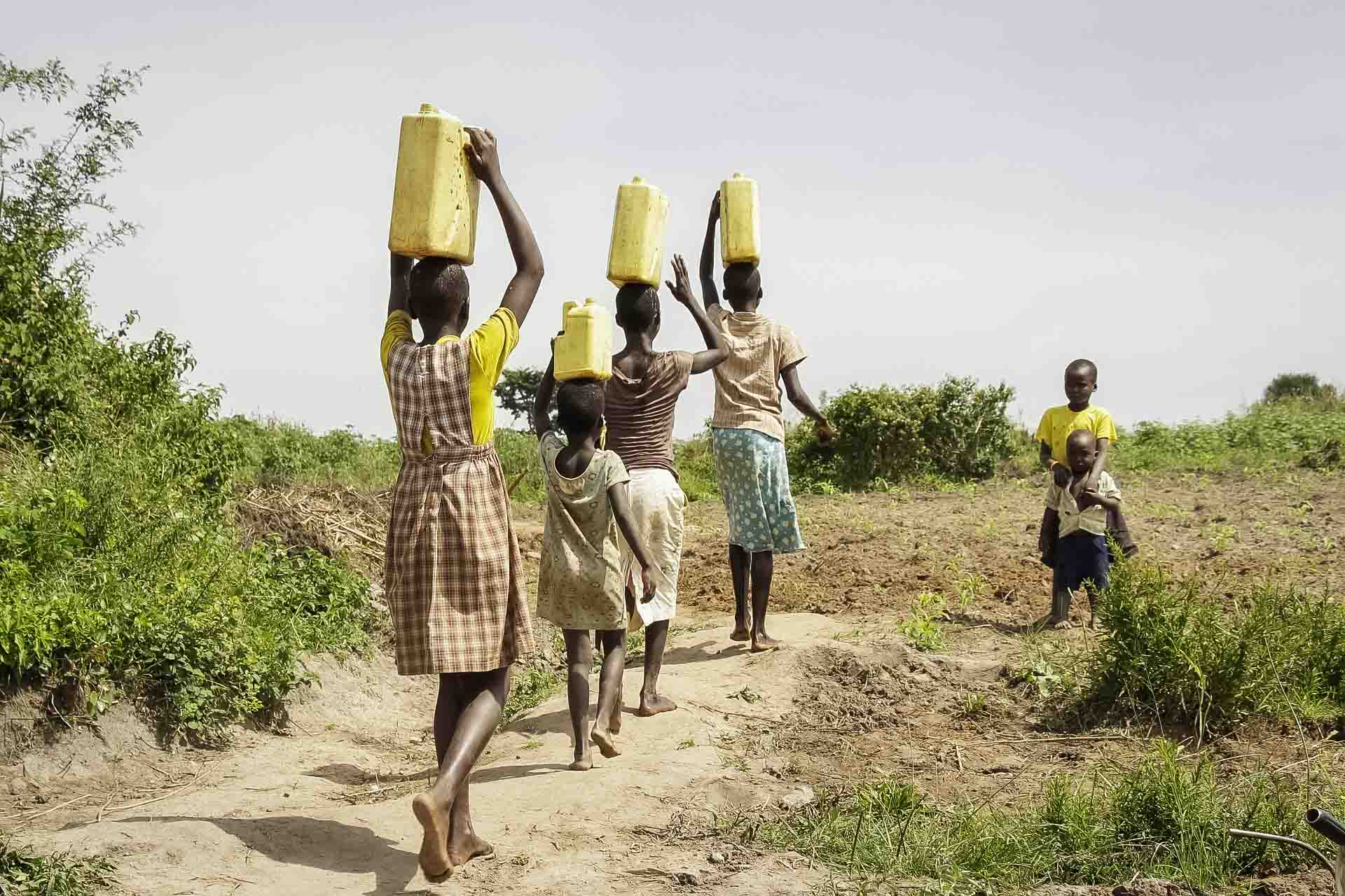 Därför ska du åka på safari i Uganda