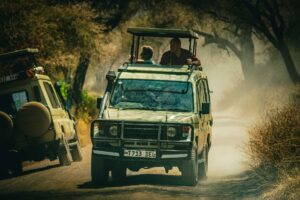 Gruppresa till Tanzania med svensk färdledare i november 2025