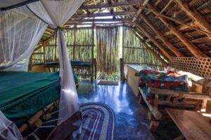 Ö-hoppa på Zanzibar Chumbe Zanzibar Mafia
