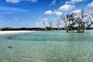 Ö-hoppa på Zanzibar, Mafia Island Kinasi Lodge