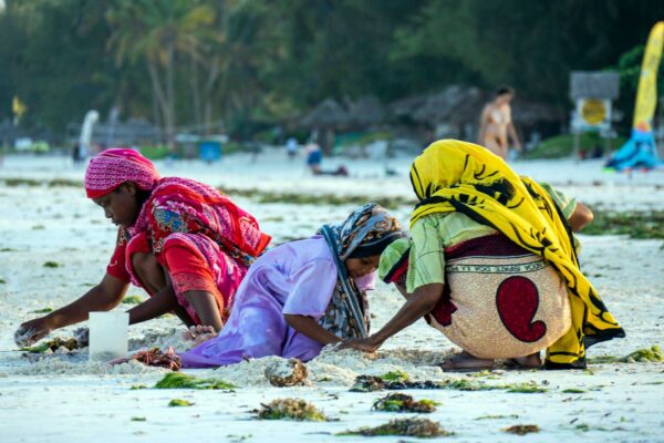 Öhoppa Zanzibar Paje-4 | Kenzan Travel Ö-hoppa Zanzibar Paje