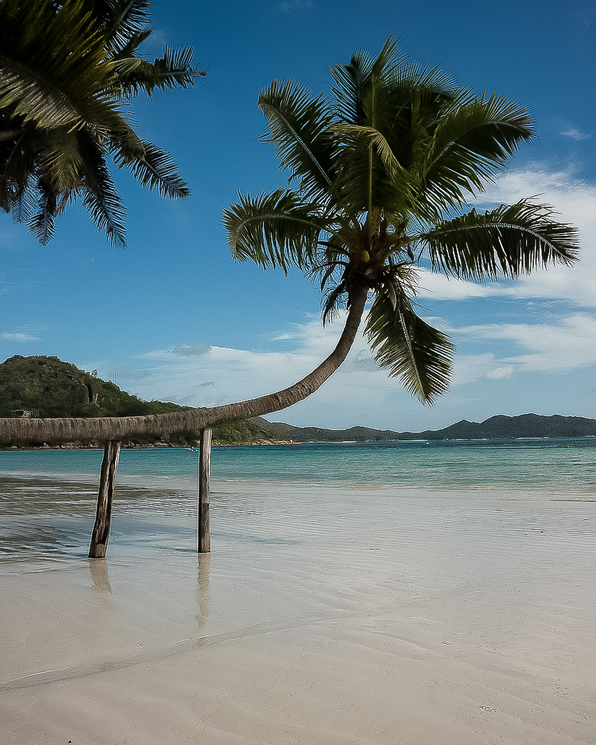 Strander-Praslin-Seychellerna-5 | Kenzan Travel Den ultimata grodden till Seychellerna, Saker att göra Praslin