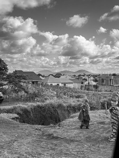 Tanzania safari, Cornelias resa till Tanzania