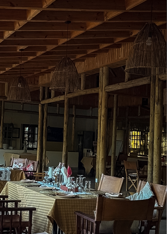 Tanzania safari, Cornelias resa till Tanzania