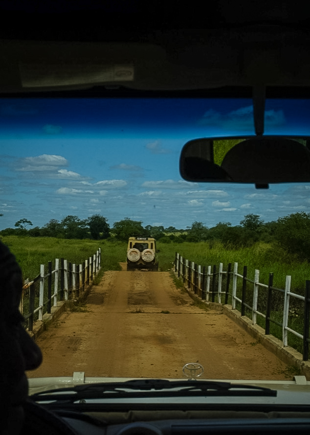 Tanzania safari, Cornelias resa till Tanzania