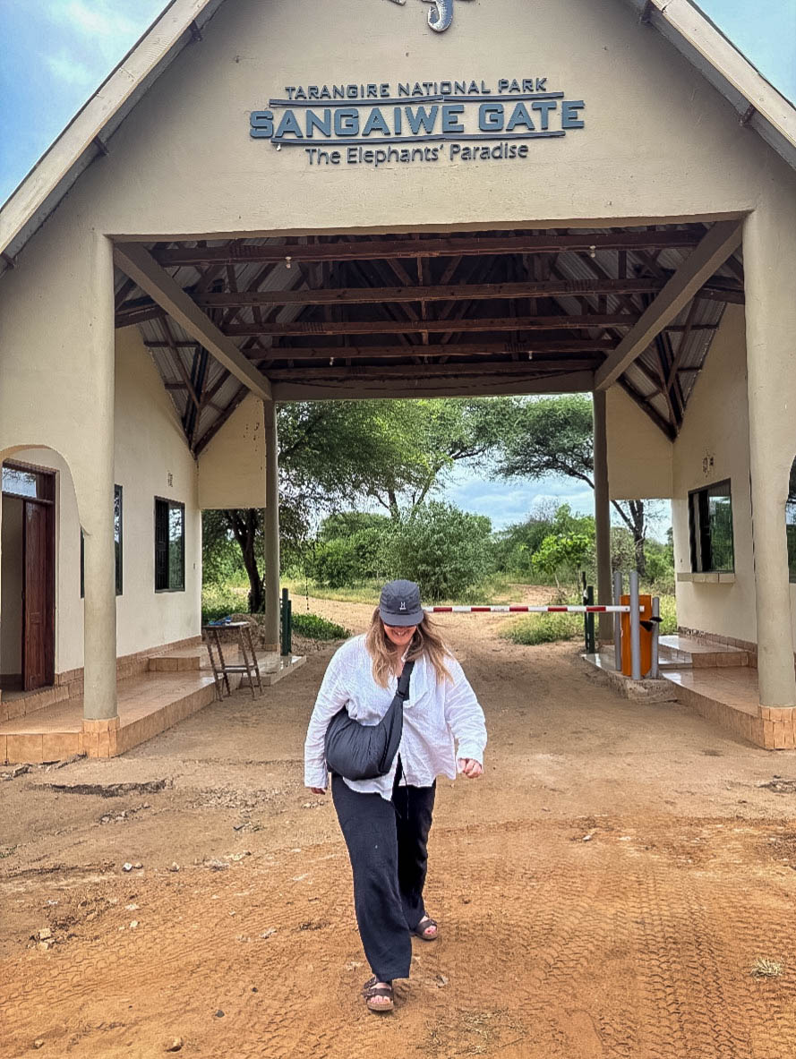 Tanzania safari, Cornelias resa till Tanzania