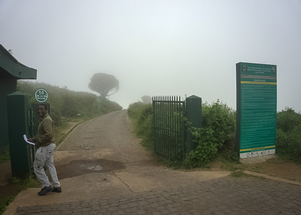 Tanzania safari, Cornelias resa till Tanzania, Ngorongoro