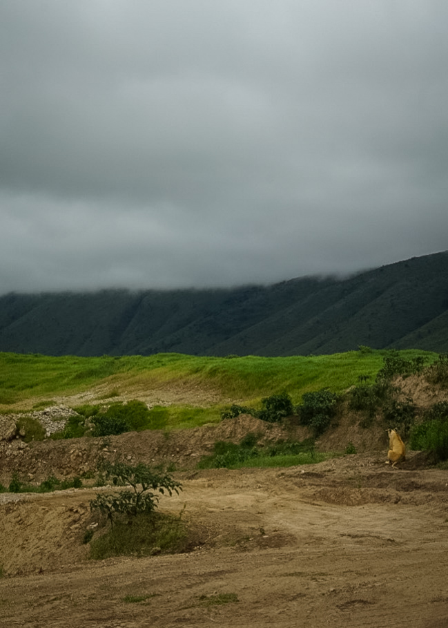 Tanzania safari, Cornelias resa till Tanzania, Ngorongoro