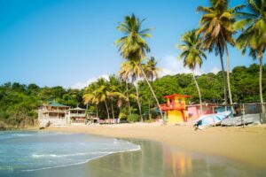 Upptäck Tobago. Castara och Crown Point