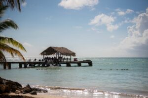 Tobago Crown P, Pigeon P