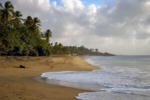 Tobago, Turtle View