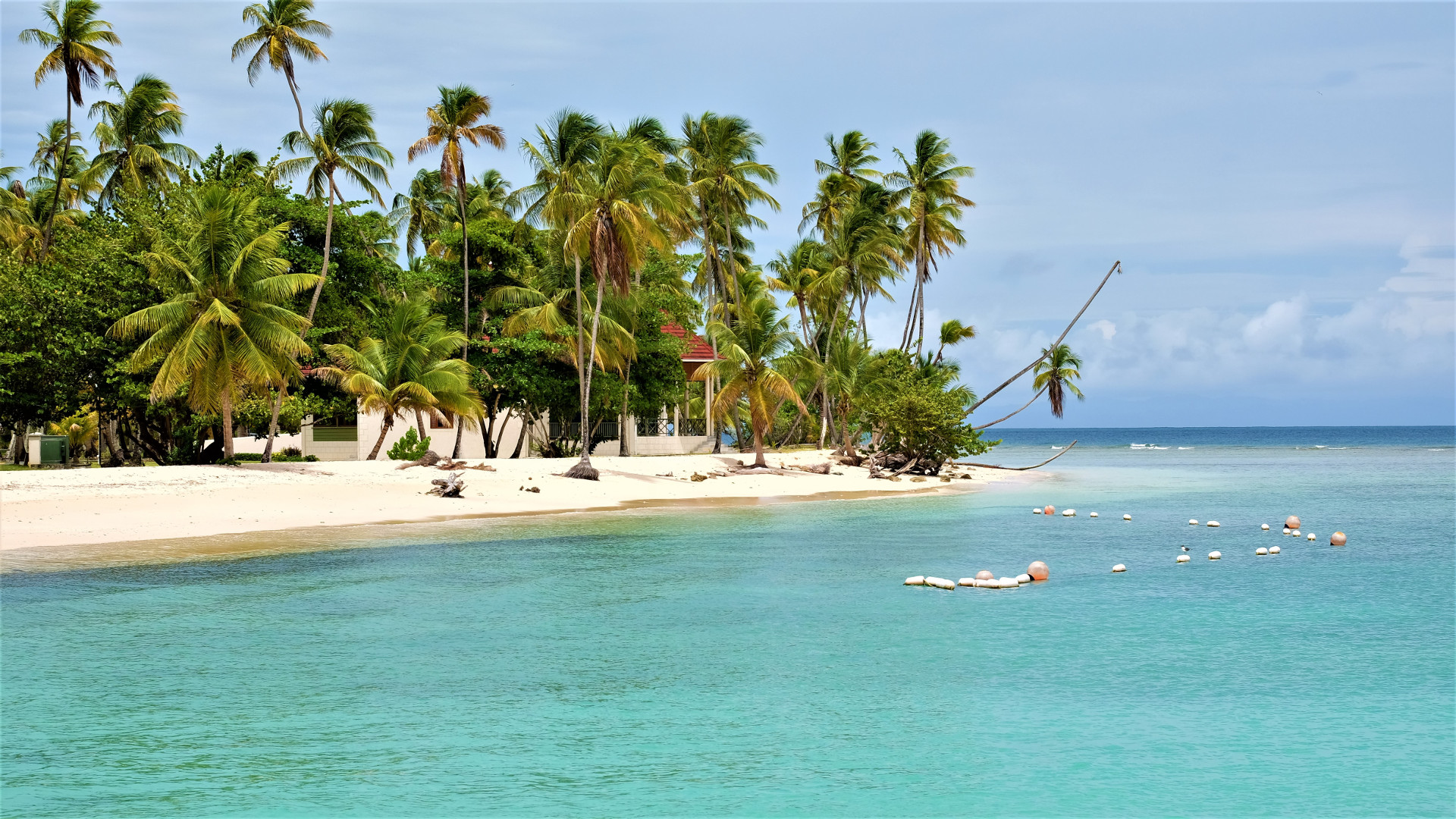 Tobago,Pigeion Point
